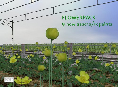 More information about "Flower pack"