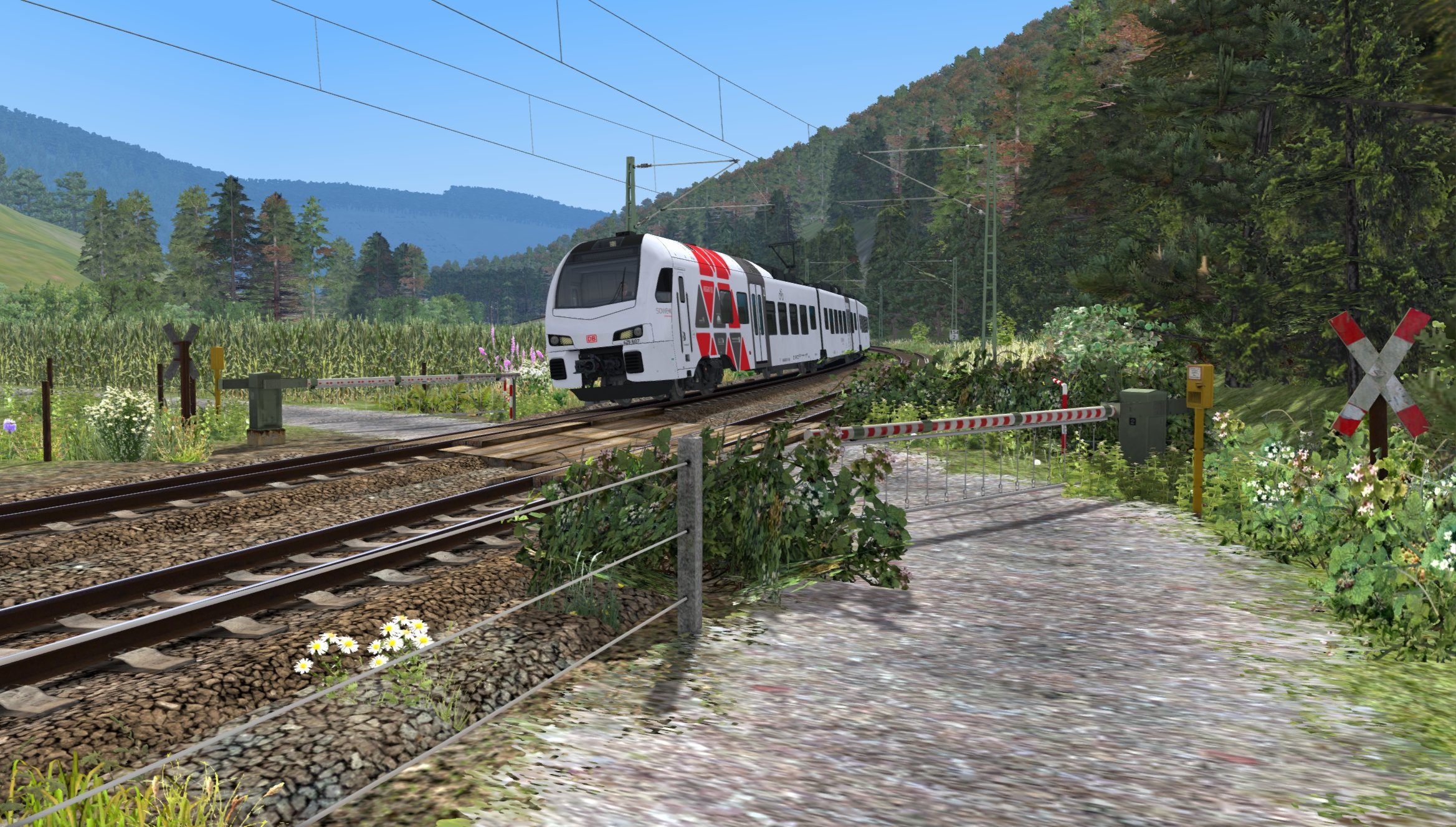 RE trein naar Bad Rinckenurg