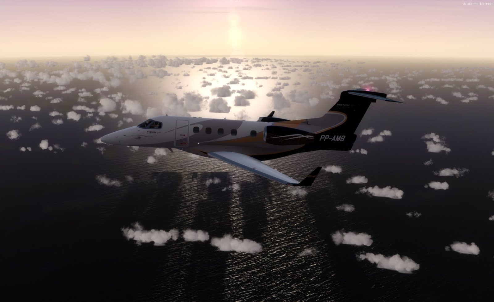 Embraer - Phenom - 300-003.jpg