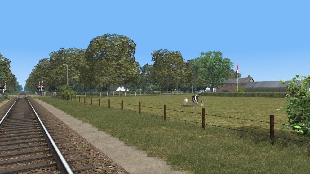 Vierdelig probleem.jpg