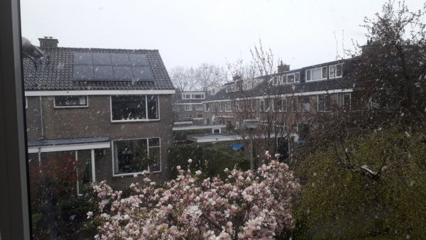 Snow in The Netherlands